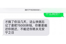 沧源为什么选择专业追讨公司来处理您的债务纠纷？